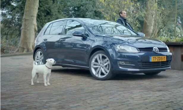 Dog-imitates-a-Volkswagen